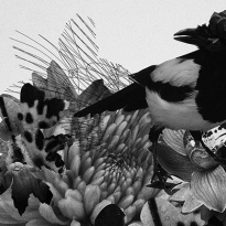 Лучшие московские выставки сентября