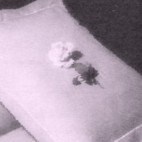 Секс-игрушки: компаньон, соперник или посредник? (18+)