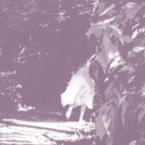 «Он создавал слова, которых не существовало, но которые звучали так, словно существовали всегда»: Ольга Хейфиц — о Льюисе Кэрролле, волшебнике и философе