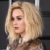 «Грэмми-2017»: самые яркие образы церемонии