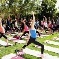 Лето пришло: в московских парках начались занятия по йоге