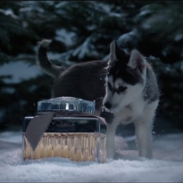 Маленькие хаски в заснеженном лесу: Chloé выпустил праздничное видео