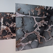 Как изучать искусство и дизайн по британской системе