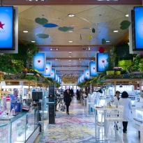 Цветущая арт-галерея