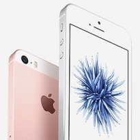 Apple откажется от производства популярной модели iPhone