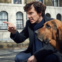 10 самых интересных сериалов сезона