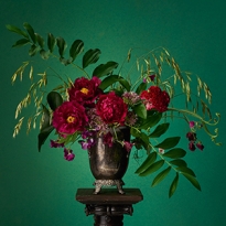 Выставка Loewe в Королевском ботаническом саду Мадрида