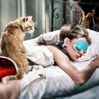 10 композиций перед сном