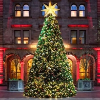 Рождественские елки в лучших отелях мира