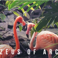 Специальный микс для Buro 24/7: Ligeia