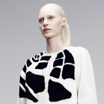 Коллекция Bottega Veneta, pre-fall 2014