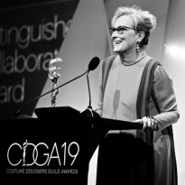 19-я церемония премии Гильдии художников по костюмам