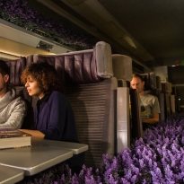 Лавандовые поля в поезде Eurostar по случаю запуска нового направления