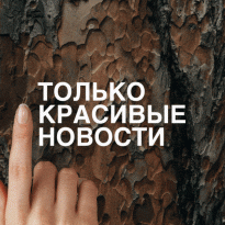 Вишлист парфманьяка: новые и лучшие ароматы зимы-2020