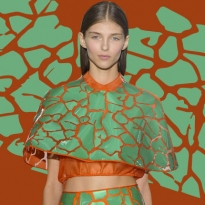 Обзор Buro 24/7: Delpozo, весна-лето 2015