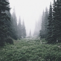 Куда бежать из Москвы и Петербурга на время чемпионата мира по футболу