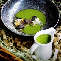 Грибные места Москвы: где пробовать сморчки