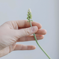 «Дать тем, кому нужно, не рыбку, а удочку»: профессиональные филантропы рассказывают, как начать помогать