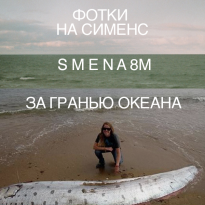 От снимков огромных кальмаров до эскизов татуировок: 5 залипательных пабликов во «ВКонтакте»