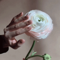 Открылись! О чем надо помнить при посещении салона красоты