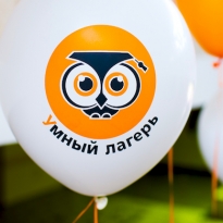 Образование летом: проект \"Умный лагерь\"