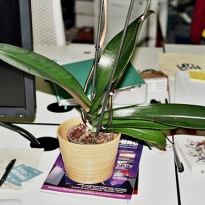 Как выжить после отпуска: советы психолога