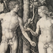 Флюиды, ландсерская свинья и запретный плод: Альбрехт Дюрер загадывает загадки