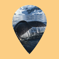 Друзья BURO. рассказывают о своей самой экстремальной поездке и сдают крутые маршруты