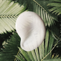 Кокосовый аромат, невесомый тон и другие новинки недели