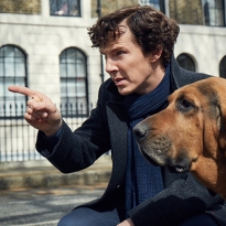 Бенедикт Камбербэтч рассказывает о будущем \"Шерлока\"