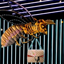 На витрине первая коллекция Алессандро Микеле для Gucci