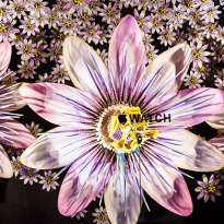 Витрины Selfridges расцвели букетами от Apple