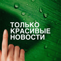 Духи для фанатов фламандской живописи, мейкап цвета сакуры и другие новинки недели