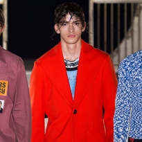 Неделя мужской моды в Париже: Raf Simons, весна-лето 2015