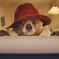 Медведь и Николь Кидман в фильме \"Приключения Паддингтона\"