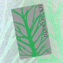 «Проблески»: отрывок из книги Айрис Вольф — о вечной дружбе, родстве душ и поиске места в мире