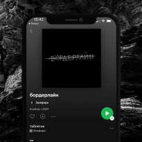 Как поступать с новым альбомом Земфиры «бордерлайн»? Понять и обнять