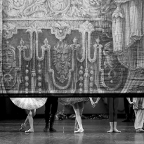 Dance Open: чего ждать от петербургского фестиваля?