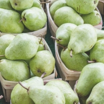 Что нужно знать о диете Пегано