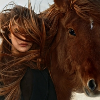 Вновь на коне: рекламная кампания Hermès, осень-зима 2014