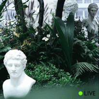 Прямая трансляция показа Burberry «Сентябрь — 2016»