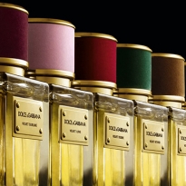 Мини-фильм Dolce & Gabbana о Velvet collection