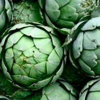 Летний режим: пять детокс-растений