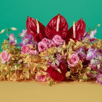 Весна в \"Гараже\": три новых выставки Музея современного искусства