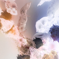 Чьи работы смотреть на выставке «Моей матерью был компьютер» в Санкт-Петербурге. Выбор BURO.