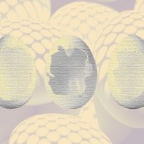 Вредны или полезны яйца? Разбираемся, стоит ли включать их в рацион