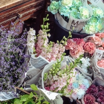 Во Vnukovo Outlet Village и Novaya Riga Outlet Village пройдет праздничный фестиваль