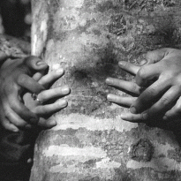 «Космосфильм»: как живет студия, делавшая постпродакшен для «Войны Анны» и снимавшая док о Егоре Летове