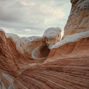 Кейт Бланшетт и Брэд Питт в документальном фильме Терренса Малика