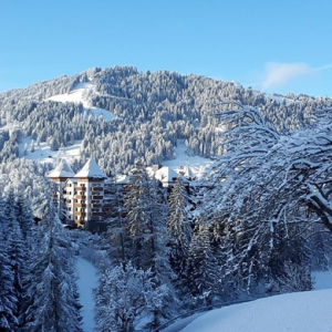 Гштаад: уголок спокойствия посреди безумного мира